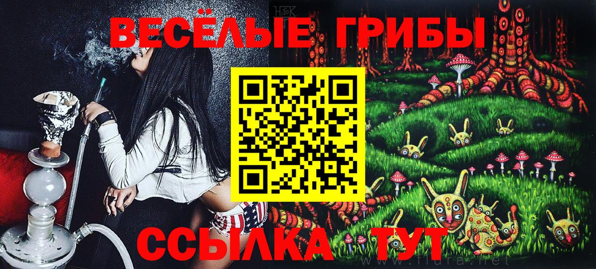 ГАШ Кропоткин