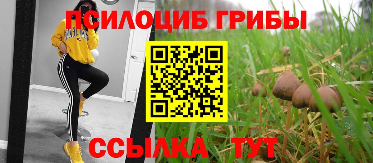 Галлюциногенные грибы мицелий  Вход с VPN  Кропоткин 