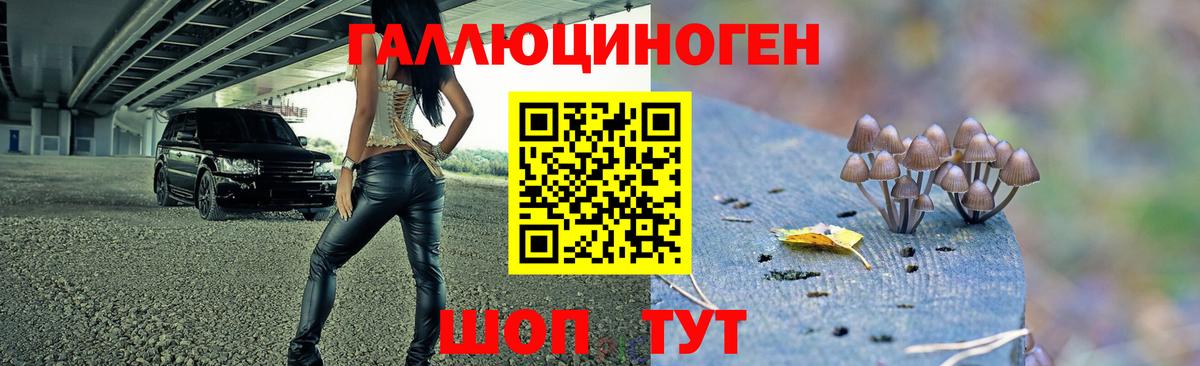 Галлюциногенные грибы прущие грибы Кропоткин
